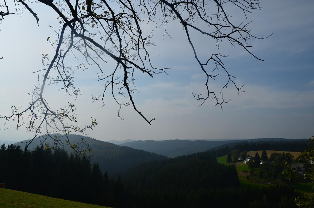 Berggasthof Zur Glocke Винтерберг Екстериор снимка
